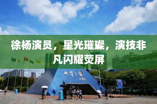 徐杨演员，星光璀璨，演技非凡闪耀荧屏