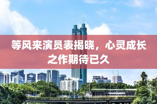等风来演员表揭晓，心灵成长之作期待已久