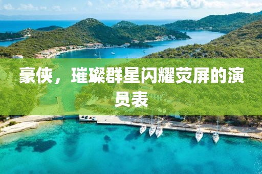 豪侠，璀璨群星闪耀荧屏的演员表