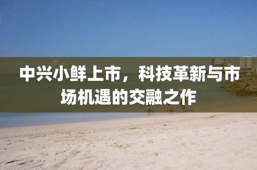 中兴小鲜上市，科技革新与市场机遇的交融之作