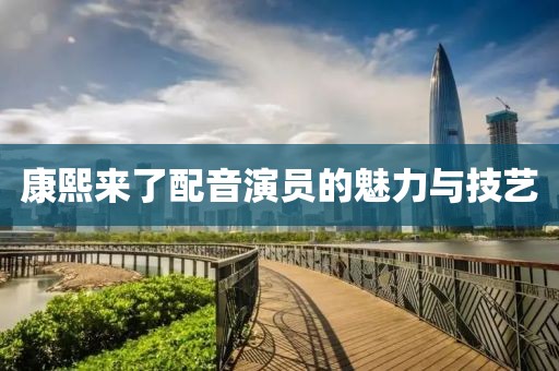 康熙来了配音演员的魅力与技艺