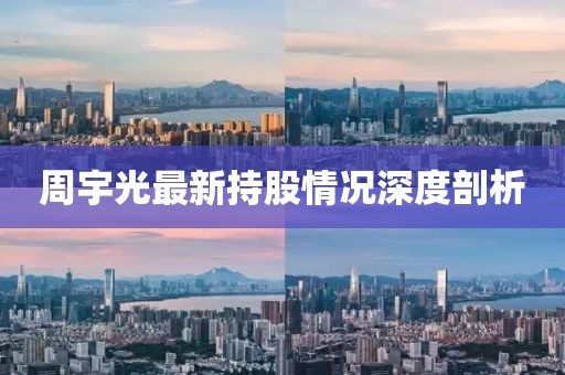 周宇光最新持股情况深度剖析