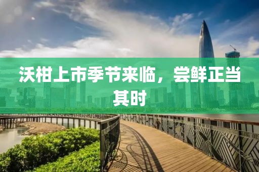 沃柑上市季节来临，尝鲜正当其时