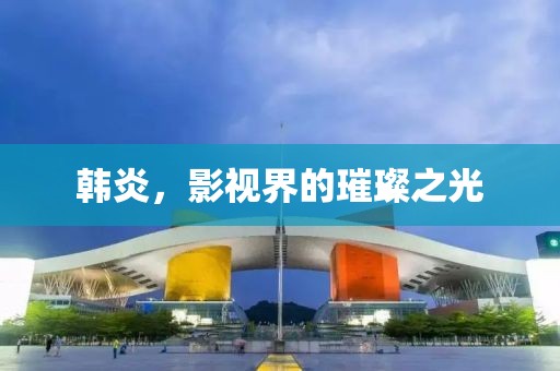 韩炎，影视界的璀璨之光