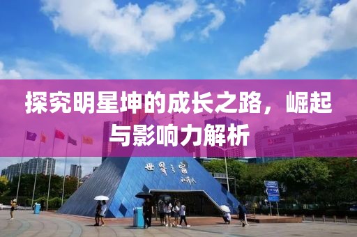 探究明星坤的成长之路，崛起与影响力解析