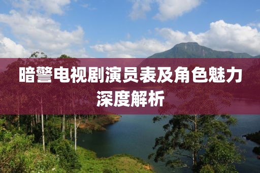 暗警电视剧演员表及角色魅力深度解析
