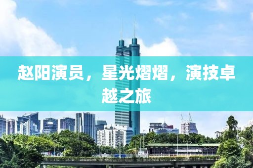 赵阳演员，星光熠熠，演技卓越之旅
