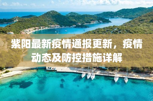 紫阳最新疫情通报更新，疫情动态及防控措施详解
