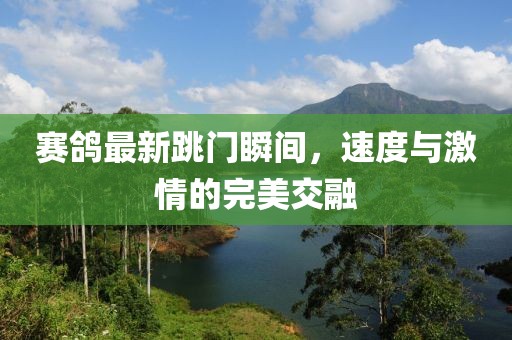 赛鸽最新跳门瞬间，速度与激情的完美交融