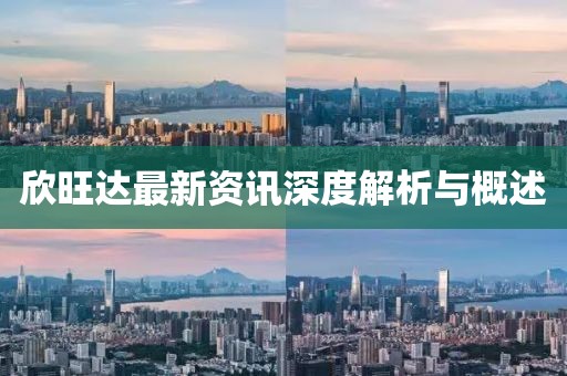 欣旺达最新资讯深度解析与概述