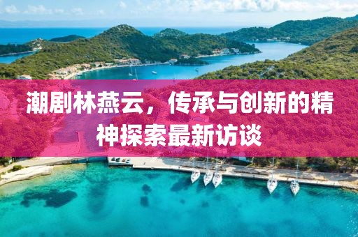 潮剧林燕云，传承与创新的精神探索最新访谈