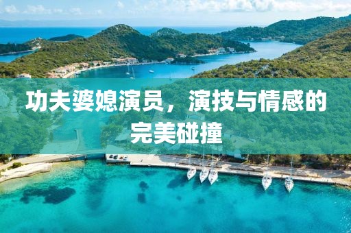 功夫婆媳演员，演技与情感的完美碰撞