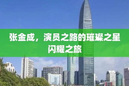 张金成，演员之路的璀璨之星闪耀之旅