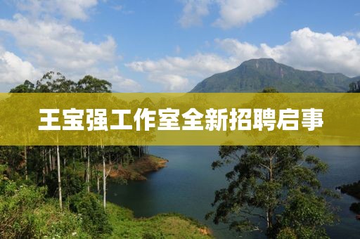 王宝强工作室全新招聘启事