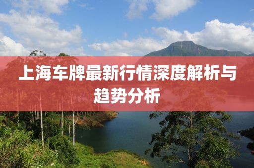 上海车牌最新行情深度解析与趋势分析