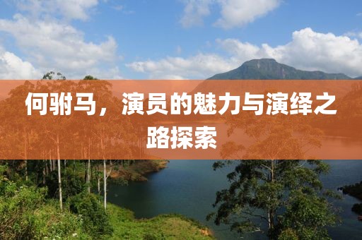 何驸马，演员的魅力与演绎之路探索
