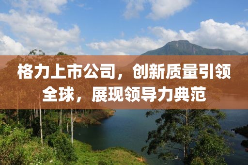 格力上市公司，创新质量引领全球，展现领导力典范