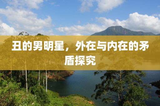 丑的男明星，外在与内在的矛盾探究