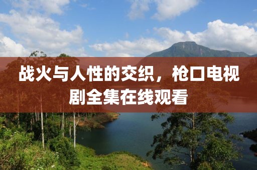 战火与人性的交织，枪口电视剧全集在线观看