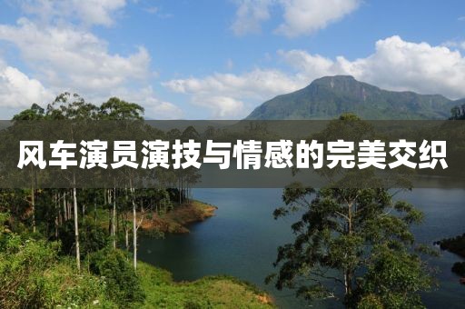 风车演员演技与情感的完美交织