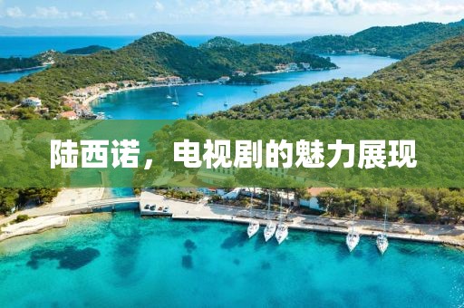 陆西诺，电视剧的魅力展现
