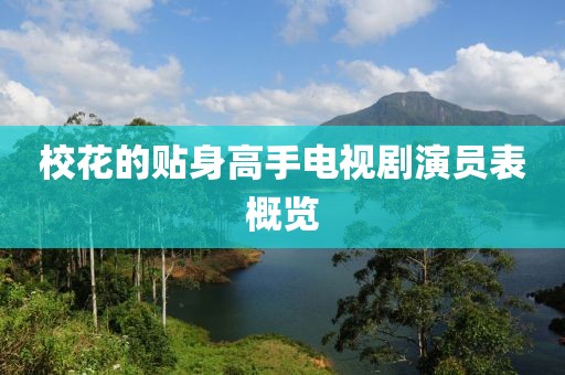 校花的贴身高手电视剧演员表概览