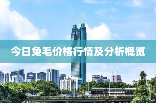 今日兔毛价格行情及分析概览