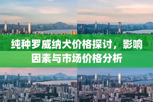 2025年2月 第476页