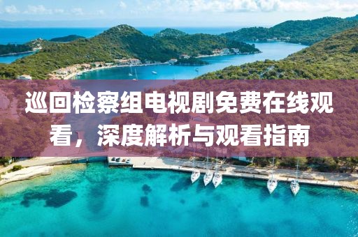 巡回检察组电视剧免费在线观看，深度解析与观看指南