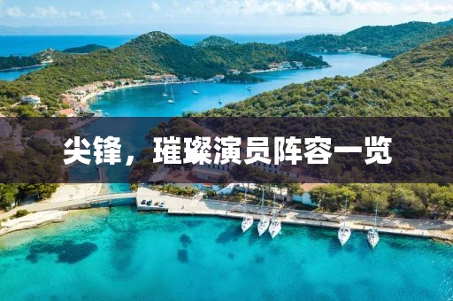 尖锋，璀璨演员阵容一览