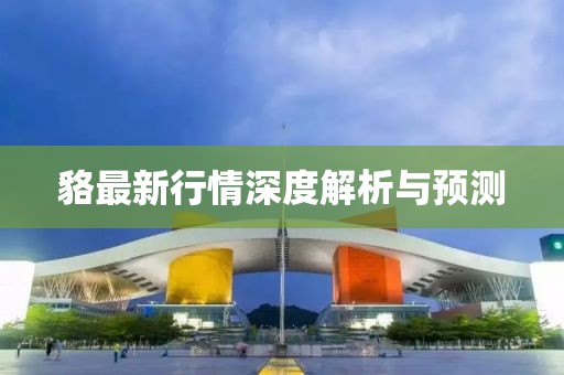 貉最新行情深度解析与预测