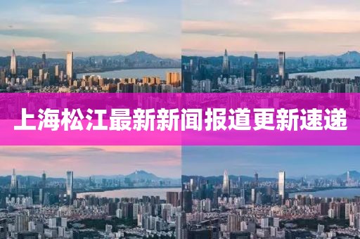 上海松江最新新闻报道更新速递