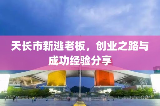 天长市新逃老板，创业之路与成功经验分享