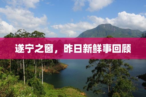遂宁之窗，昨日新鲜事回顾