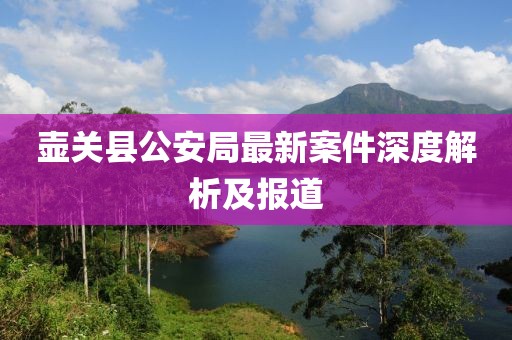 壶关县公安局最新案件深度解析及报道