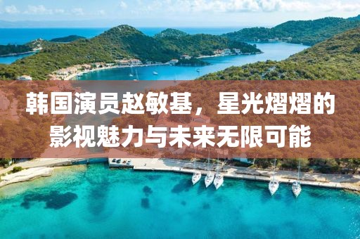 韩国演员赵敏基，星光熠熠的影视魅力与未来无限可能