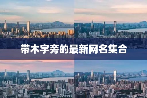 带木字旁的最新网名集合