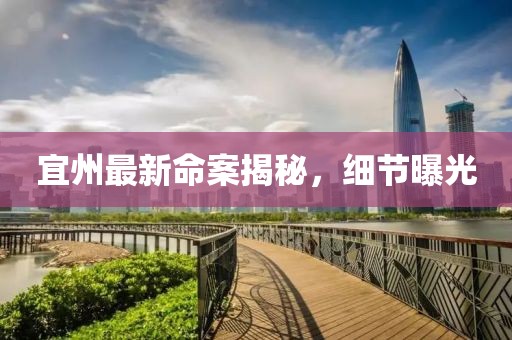 宜州最新命案揭秘，细节曝光