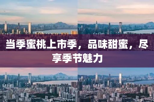 恰似一缕微光 第13页