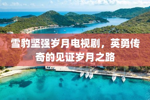 雪豹坚强岁月电视剧，英勇传奇的见证岁月之路