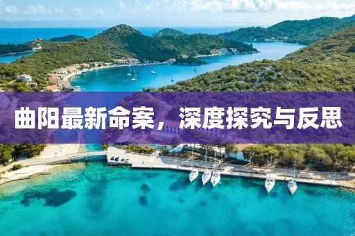曲阳最新命案，深度探究与反思