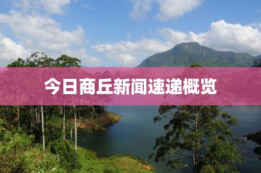 今日商丘新闻速递概览