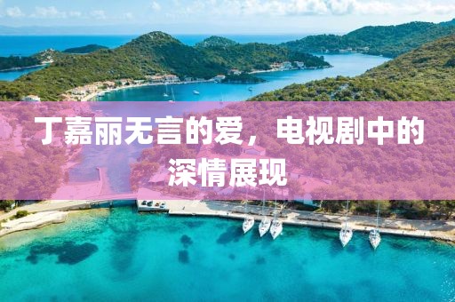 丁嘉丽无言的爱，电视剧中的深情展现