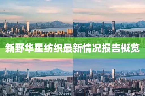 分手的季节 第12页