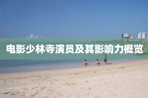 电影少林寺演员及其影响力概览