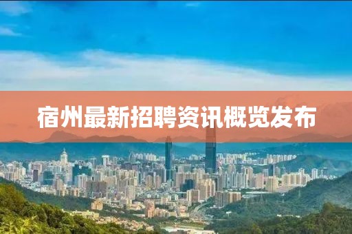 宿州最新招聘资讯概览发布