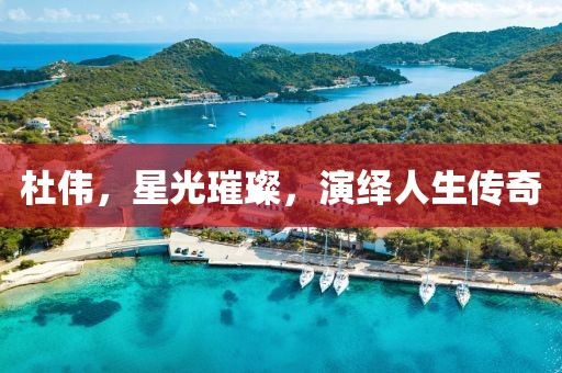 杜伟，星光璀璨，演绎人生传奇