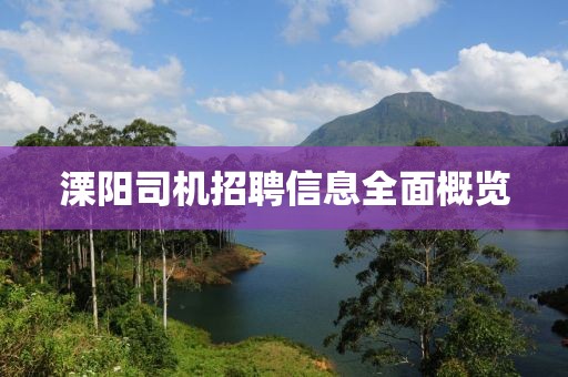 溧阳司机招聘信息全面概览