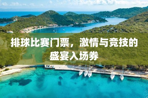 排球比赛门票，激情与竞技的盛宴入场券