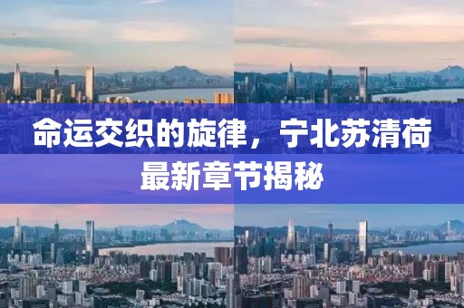 命运交织的旋律，宁北苏清荷最新章节揭秘